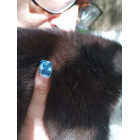 Топ для гель-лаку Smart Top No Wipe, глянцевий, JOIA vegan, 8 мл